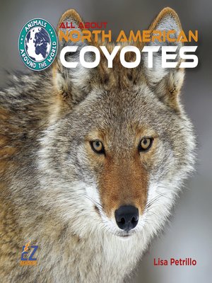 cover image of All About North American Coyotes
